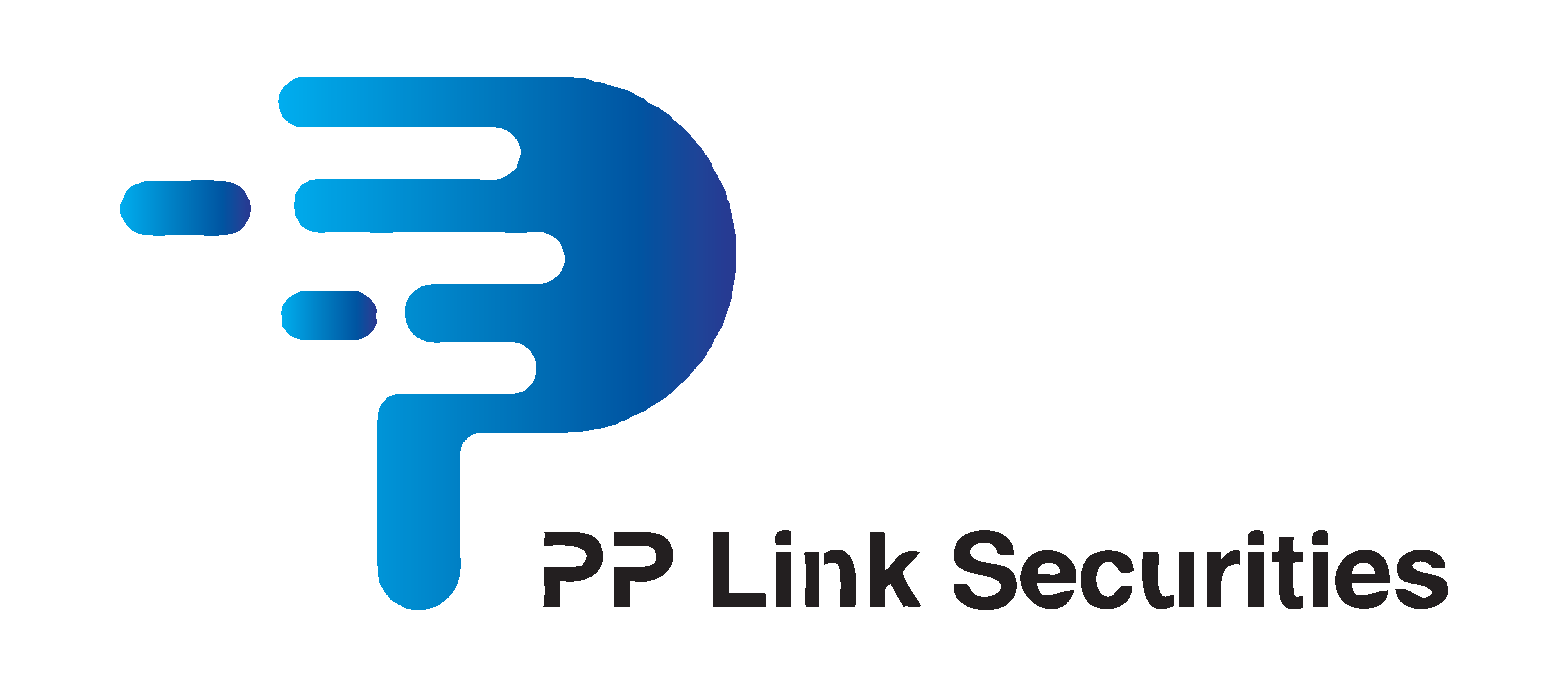 PP Link Securities Co., Ltd
